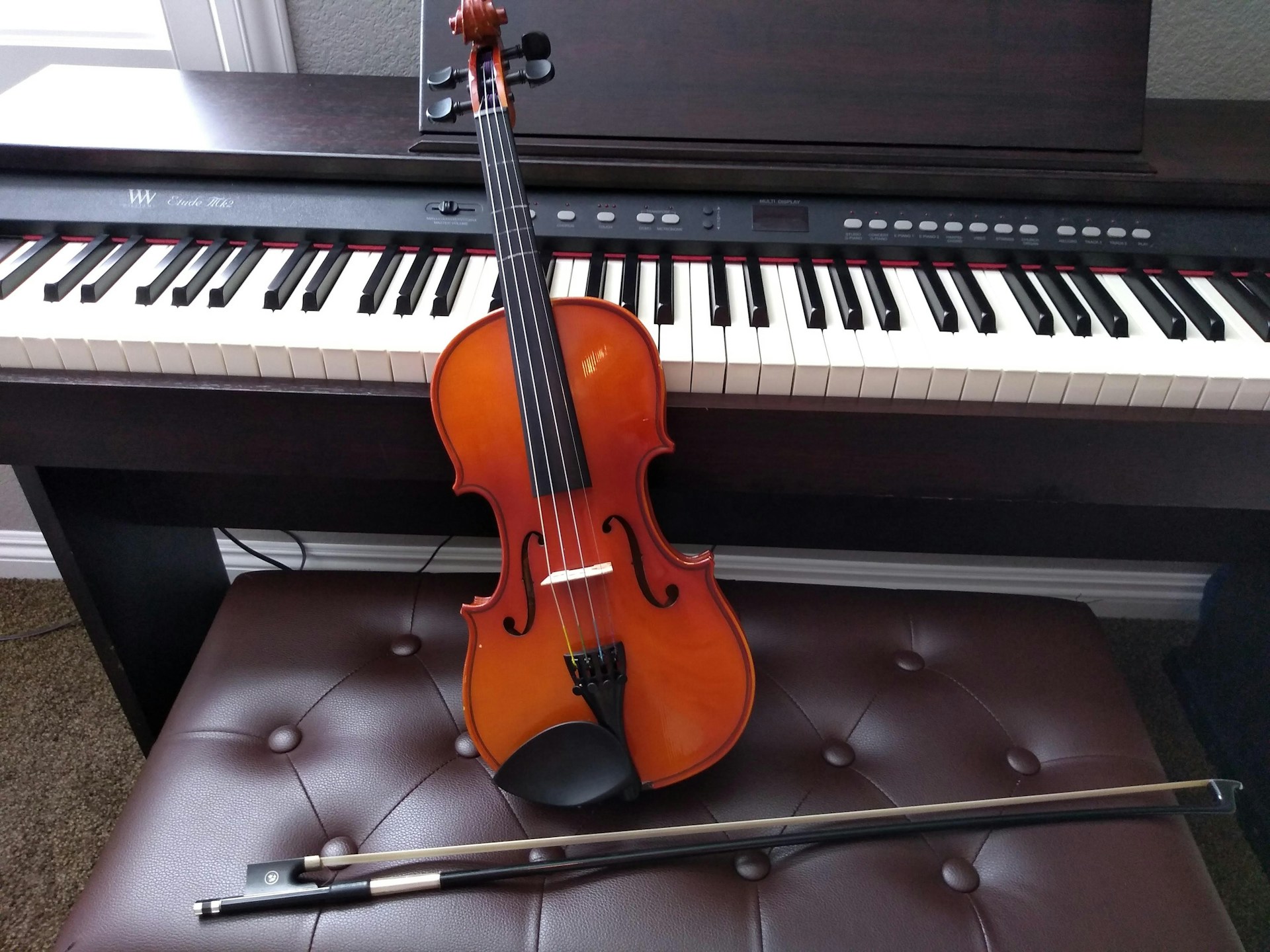 Quel est l’instrument de musique le plus facile à apprendre ?